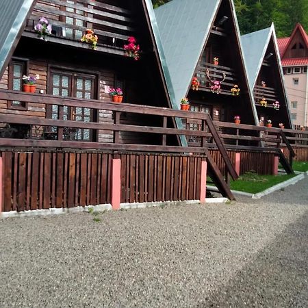 Cabane Sinaia Eksteriør bilde
